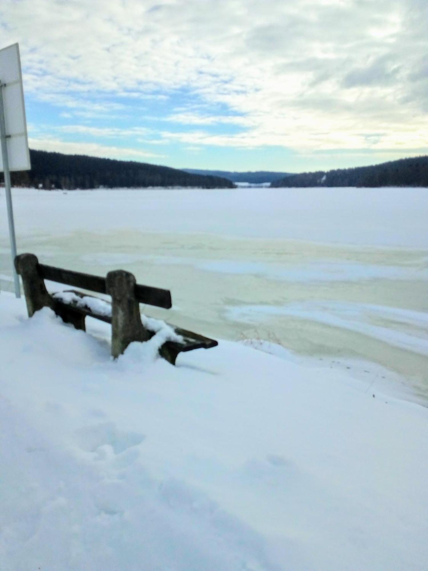Apartman Leo Nr. 8 Lipno Nad Vltavou Exterior photo